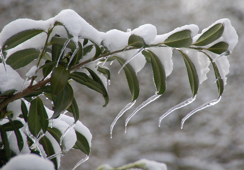 Willkommen bei colhoun.de